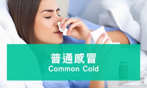 妇科用药期间能吃羊肉吗-吃妇科中药能吃羊肉吗、吃妇科中药可以吃鸡蛋吗 -吃妇科中药能吃羊肉吗网